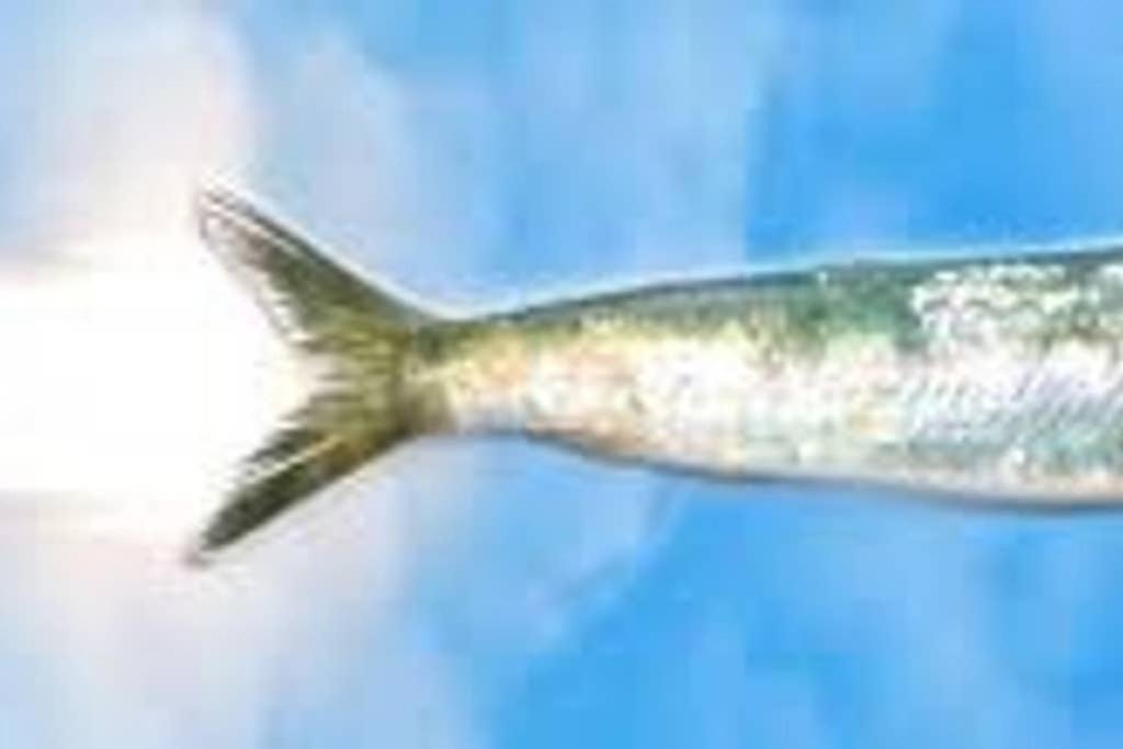 马赛La Sardine Au Coeur Du Panier公寓 外观 照片